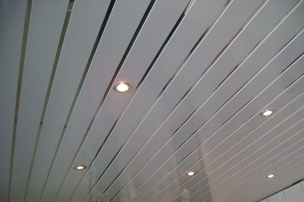 Aluminum Panel Suspended Ceiling